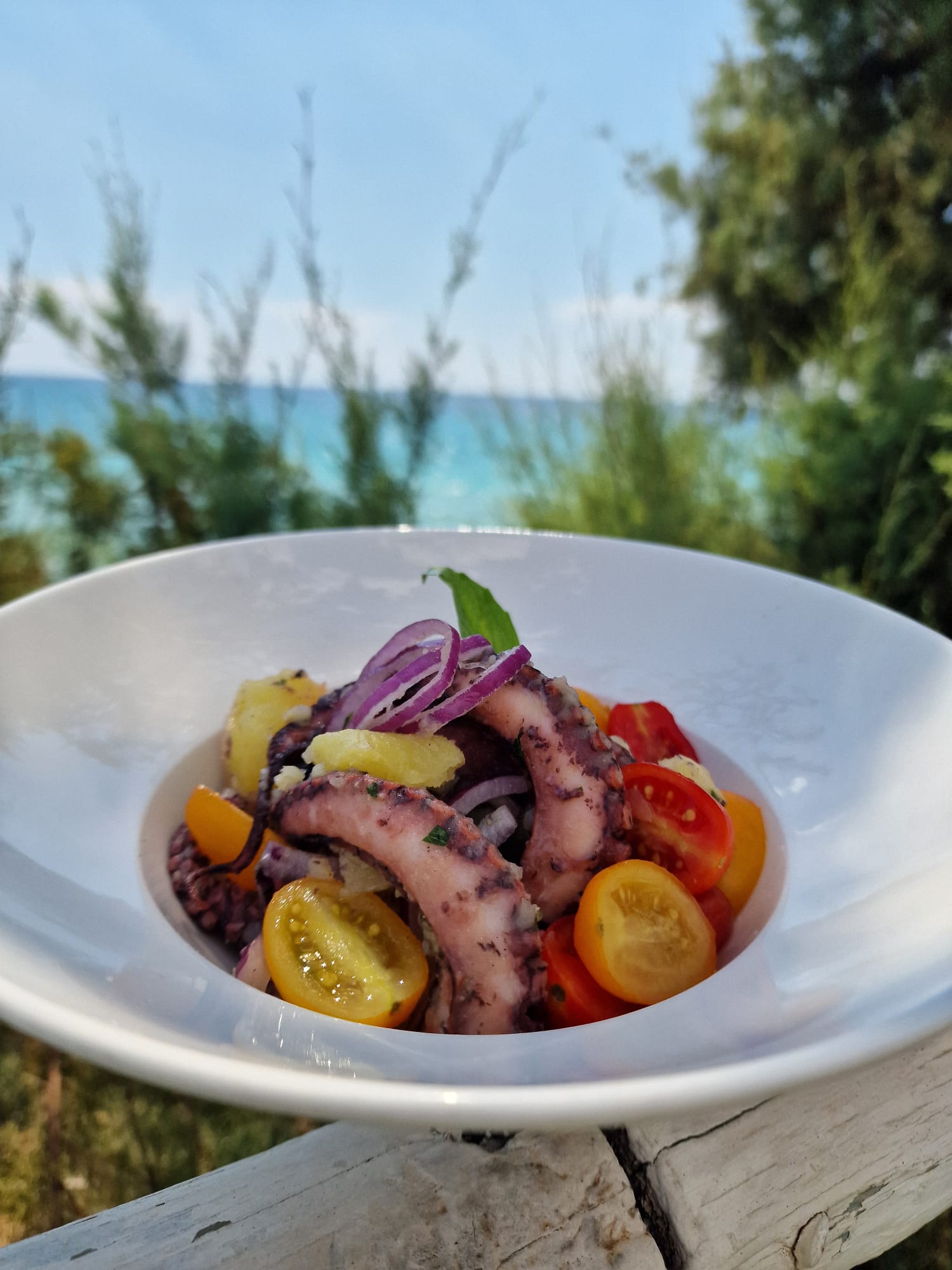 Insalata di polpo vista mare